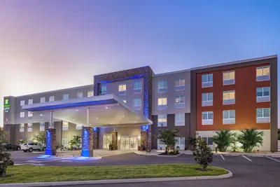 Photo 2 - Holiday Inn Express & Suites Ruskin by IHG