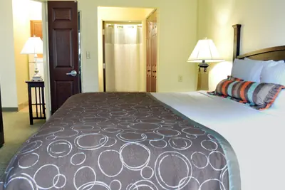 Photo 4 - 1 Bed Hear Accessible Roll In Shwr Nosmk