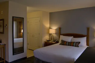 Photo 3 - 1 Queen Bed Studio Suite Nonsmoking