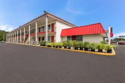 Photo 3 - Econo Lodge Washington NC North