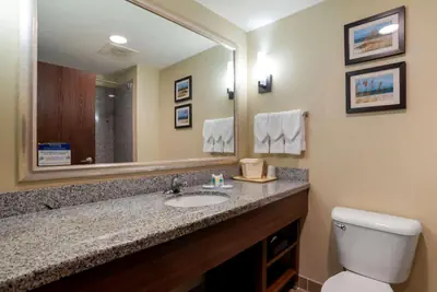 Photo 5 - Comfort Suites Foley - North Gulf Shores