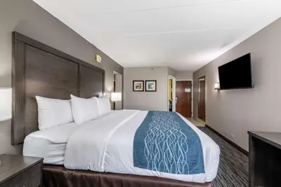 Photo 5 - Comfort Inn Chicago Schaumburg - O'Hare Airport