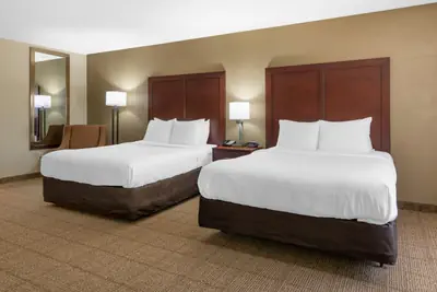 Photo 3 - Comfort Suites Locust Grove Atlanta South
