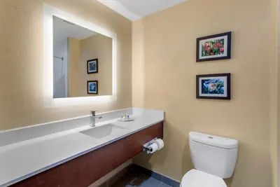 Photo 2 - Comfort Suites Locust Grove Atlanta South