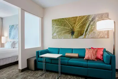 Photo 4 - Springhill Suites by Marriott Chicago Schaumburg/Woodfield Mall