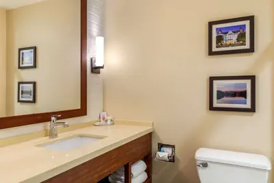 Photo 2 - Comfort Inn & Suites Schenectady - Scotia