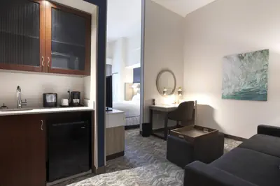 Photo 3 - SpringHill Suites by Marriott Savannah I-95 South