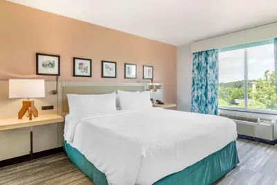 Photo 2 - Hilton Garden Inn Atlanta Northeast/Gwinnett Sugarloaf