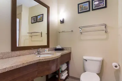 Photo 5 - Comfort Suites Saraland - North Mobile