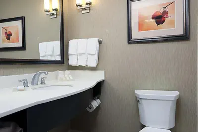 Photo 4 - Hilton Garden Inn Clifton Park