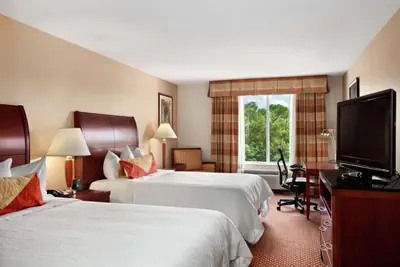 Photo 5 - Hilton Garden Inn Oakbrook Terrace