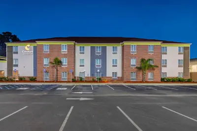 Photo 4 - Comfort Inn & Suites Brunswick I-95