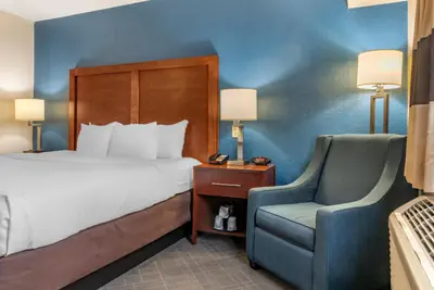 Photo 4 - Comfort Inn University