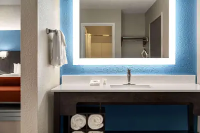 Photo 5 - La Quinta by Wyndham Chicago Tinley Park
