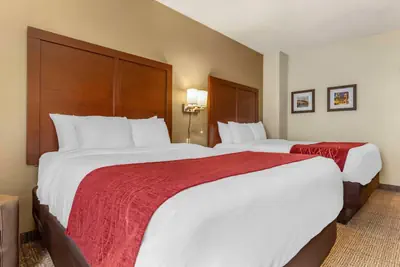 Photo 5 - Comfort Inn & Suites Streetsboro - Kent