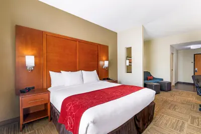 Photo 2 - Comfort Suites Brunswick