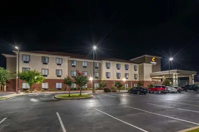 Photo 5 - Comfort Suites Pell City near Logan Martin Lake