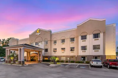 Photo 5 - Comfort Inn Summerville - Charleston