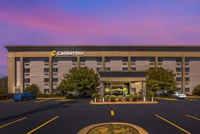 Photo 3 - Comfort Inn South - Springfield