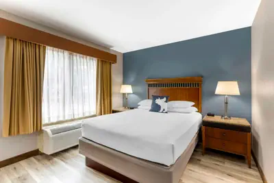 Photo 3 - Best Western Denver Southwest