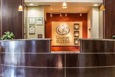 Photo 3 - Comfort Suites Troy-I75