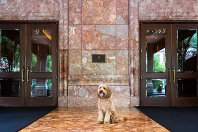 Photo 4 - The Ritz-Carlton, St. Louis