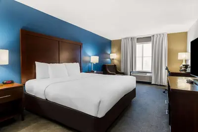 Photo 4 - Comfort Inn & Suites near Tinley Park Amphitheater