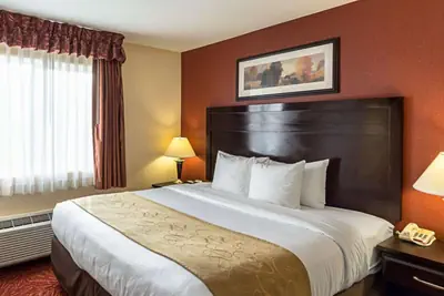 Photo 4 - Comfort Suites Airport