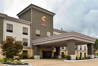Photo 2 - Comfort Suites Forrest City