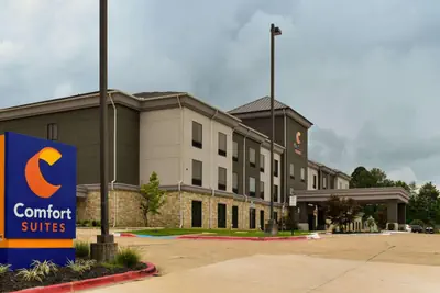 Photo 3 - Comfort Suites Forrest City