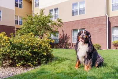 Photo 4 - Homewood Suites by Hilton Rochester Henrietta