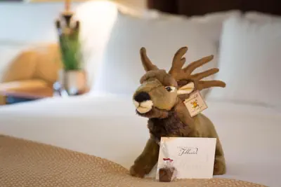 Photo 4 - The Hotel Telluride