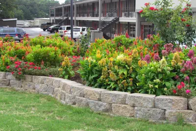 Photo 2 - Red Carpet Inn - Augusta