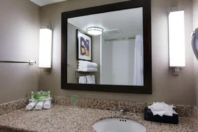Photo 5 - Holiday Inn Express Hotel & Suites Meadowlands Area by IHG