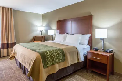 Photo 3 - Comfort Inn Collinsville near St Louis