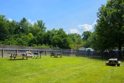 Photo 4 - Microtel Inn & Suites by Wyndham Cherokee