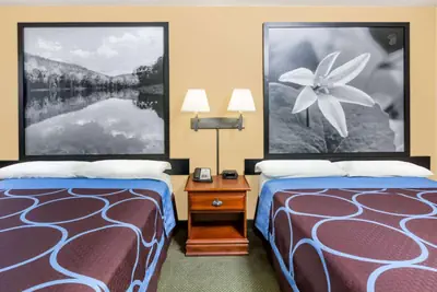 Photo 3 - Super 8 by Wyndham Pine Bluff