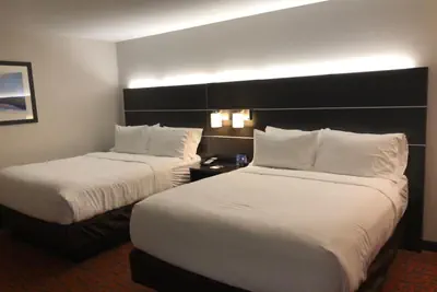 Photo 3 - Holiday Inn Express Metropolis by IHG