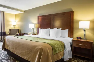 Photo 4 - Comfort Inn & Suites Walterboro I-95