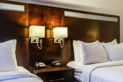 Photo 5 - Comfort Suites Northside Hospital Gwinnett