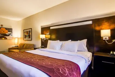 Photo 4 - Comfort Suites Northside Hospital Gwinnett