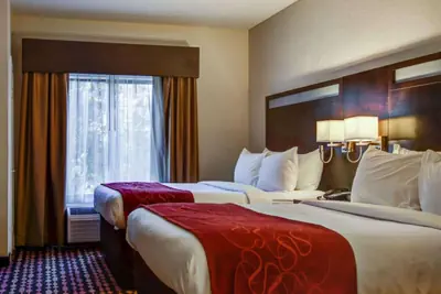 Photo 3 - Comfort Suites Northside Hospital Gwinnett
