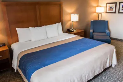 Photo 5 - Comfort Inn Crystal Lake - Algonquin