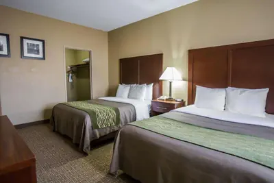 Photo 5 - Comfort Inn Morris I-80