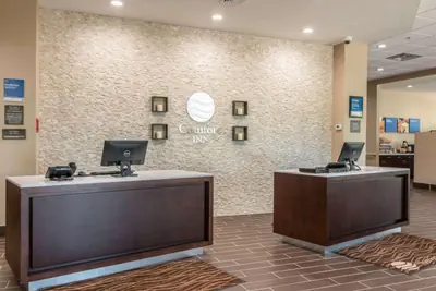 Photo 5 - Comfort Inn Edwardsville - St Louis