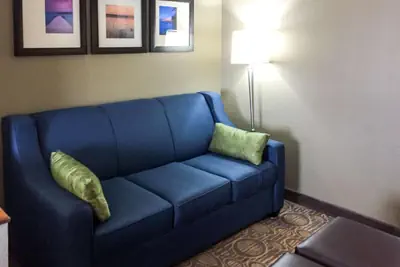 Photo 4 - Comfort Suites Regency Park