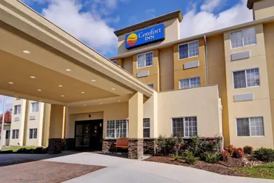 Photo 2 - Comfort Inn Mount Airy