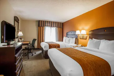 Photo 5 - Comfort Inn & Suites Somerset - New Brunswick