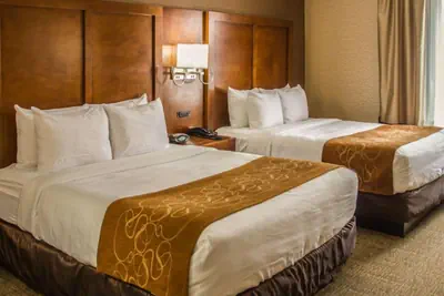 Photo 2 - Quality Suites NYC Gateway