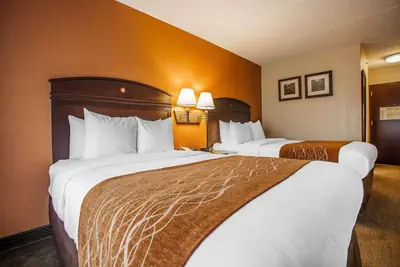 Photo 4 - Comfort Inn & Suites Somerset - New Brunswick